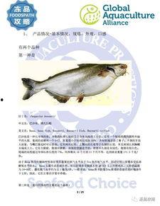巴沙鱼最新爆料,揭秘行业背后惊人真相