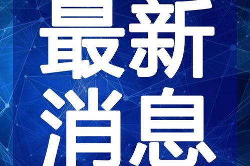 虎帅最新爆料视频大全,揭秘娱乐圈幕后真相