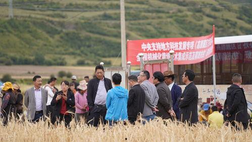 甘孜企业爆料事件最新,揭开背后真相与挑战